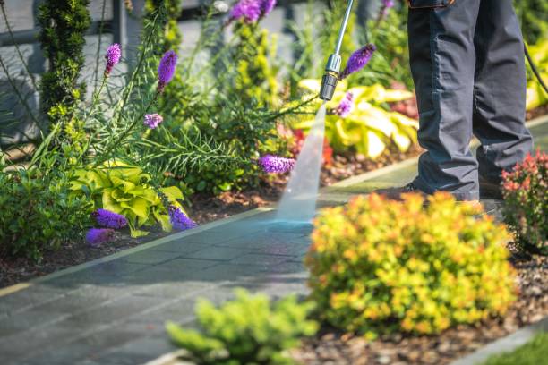 Reliable Yardville, NJ Pressure Washing Services Solutions